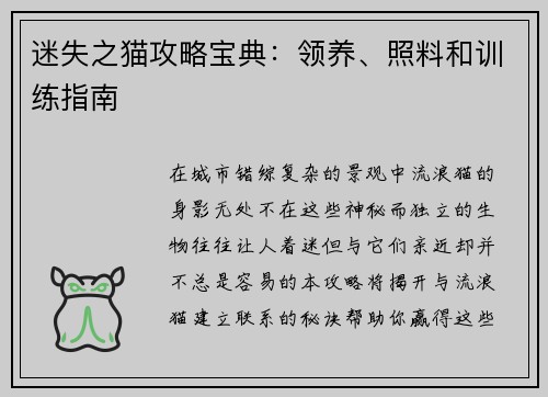 迷失之猫攻略宝典：领养、照料和训练指南